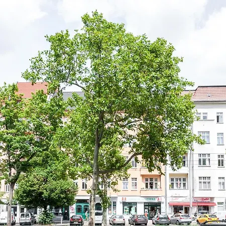 Dr Prenzlauer Berg Berlín